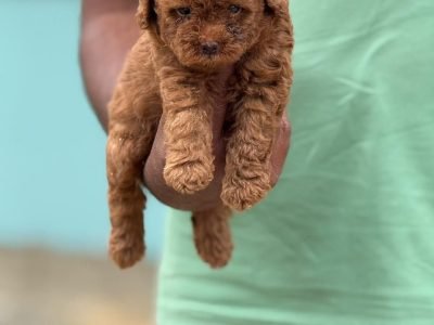 6b220a38-e3be-4b63-b954-8d07813c6b39