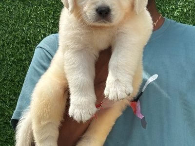 d6442ce8-bc37-4e16-84e6-b9c72ce6c894